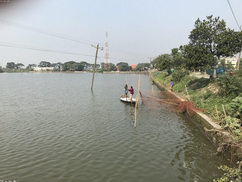 វិធីបាញ់ត្រីប្រកបដោយចំណេះដឹងកម្រិតខ្ពស់