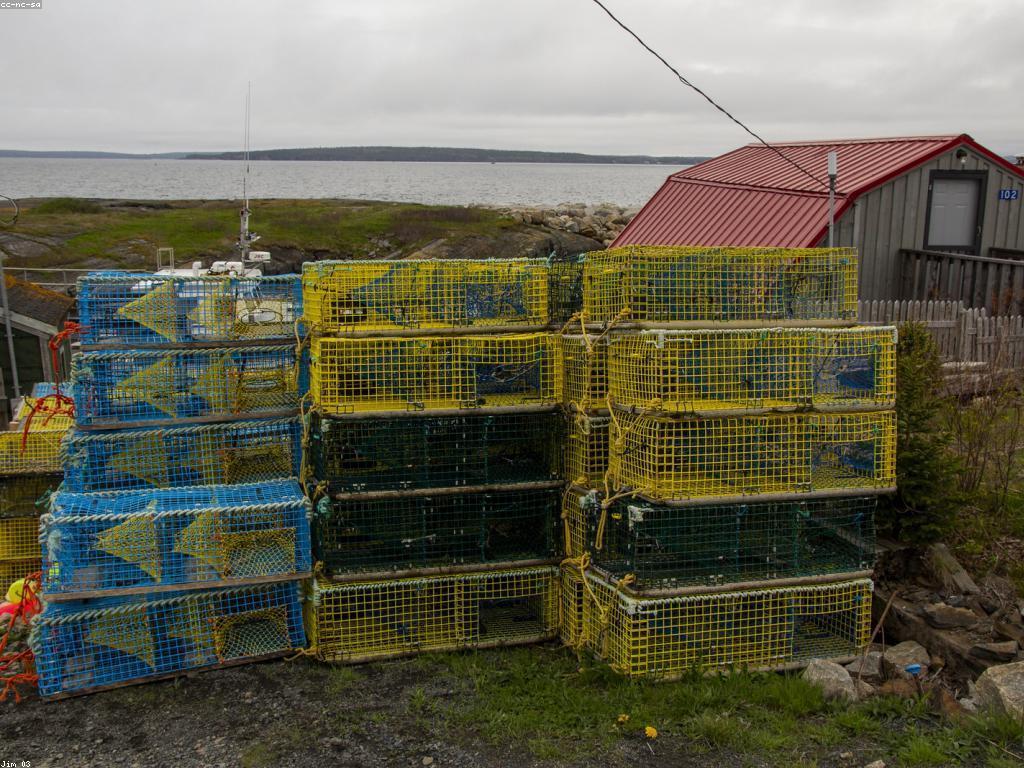បទពិសោធន៍បាញ់ត្រីដ៏មានភាពខុសគ្នានៅកម្ពុជា