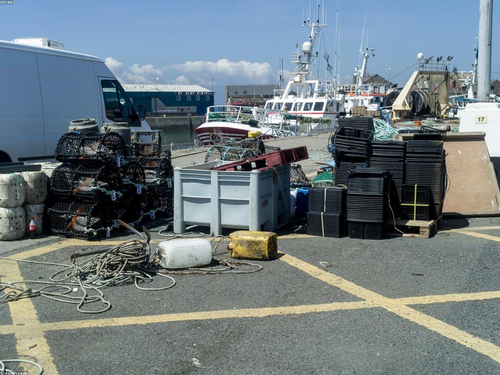 ការរៀបចំសម្រាប់ការប្រកួតបាញ់ត្រី