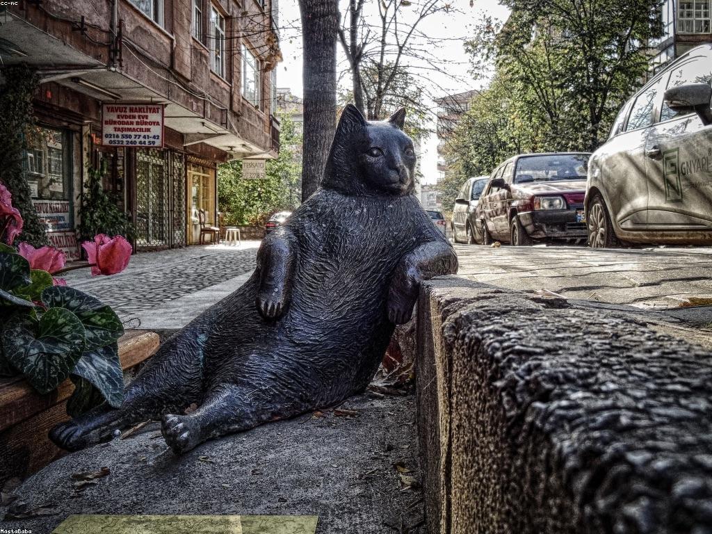 យុទ្ធសាស្ត្រ និងការប្រយុទ្ធក្នុងការប្រកួតបាញ់ត្រី