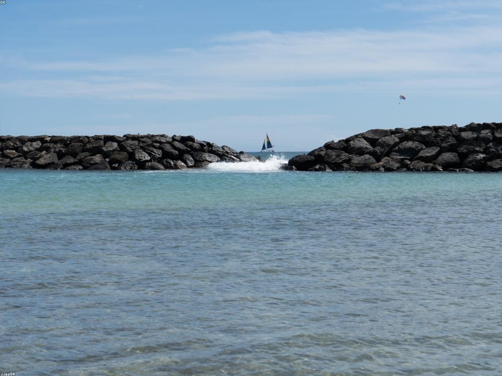 ឧបករណ៍បាញ់ត្រី: ការណែនាំសម្រាប់អ្នកចាប់ត្រី